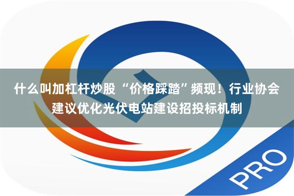 什么叫加杠杆炒股 “价格踩踏”频现！行业协会建议优化光伏电站建设招投标机制