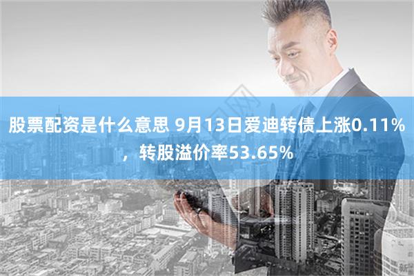 股票配资是什么意思 9月13日爱迪转债上涨0.11%，转股溢价率53.65%