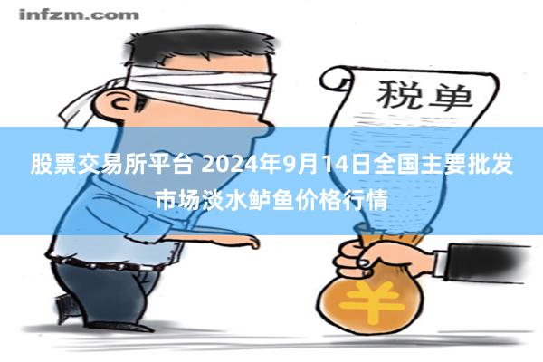 股票交易所平台 2024年9月14日全国主要批发市场淡水鲈鱼价格行情