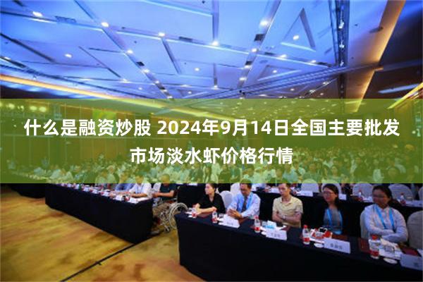 什么是融资炒股 2024年9月14日全国主要批发市场淡水虾价格行情