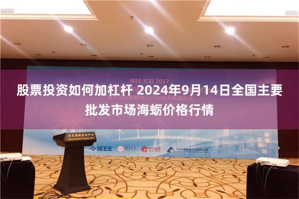 股票投资如何加杠杆 2024年9月14日全国主要批发市场海蛎价格行情