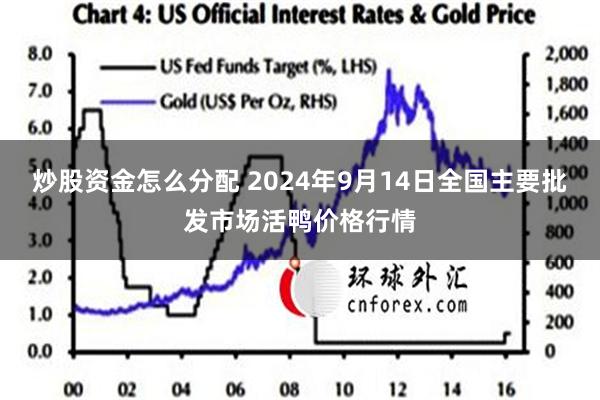 炒股资金怎么分配 2024年9月14日全国主要批发市场活鸭价格行情