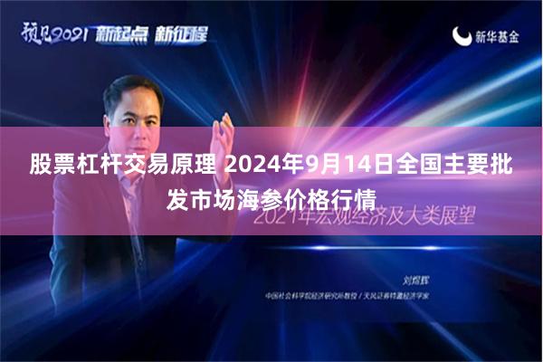 股票杠杆交易原理 2024年9月14日全国主要批发市场海参价格行情