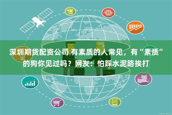 深圳期货配资公司 有素质的人常见，有“素质”的狗你见过吗？网友：怕踩水泥路挨打