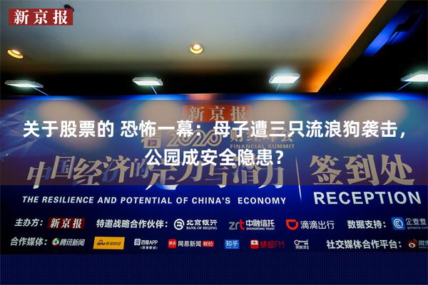 关于股票的 恐怖一幕：母子遭三只流浪狗袭击，公园成安全隐患？