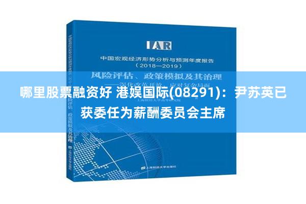 哪里股票融资好 港娱国际(08291)：尹苏英已获委任为薪酬委员会主席