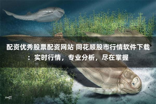 配资优秀股票配资网站 同花顺股市行情软件下载：实时行情，专业分析，尽在掌握