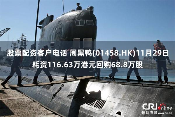 股票配资客户电话 周黑鸭(01458.HK)11月29日耗资116.63万港元回购68.8万股