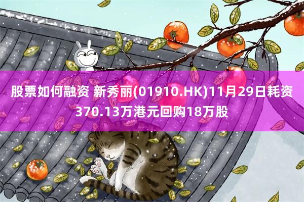 股票如何融资 新秀丽(01910.HK)11月29日耗资370.13万港元回购18万股