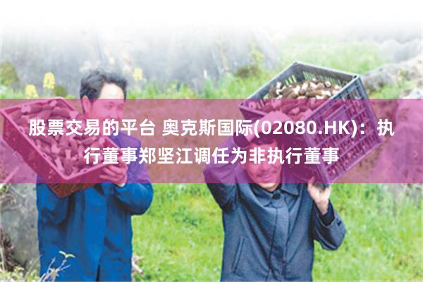 股票交易的平台 奥克斯国际(02080.HK)：执行董事郑坚江调任为非执行董事