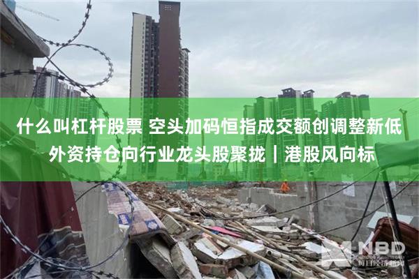 什么叫杠杆股票 空头加码恒指成交额创调整新低 外资持仓向行业龙头股聚拢｜港股风向标