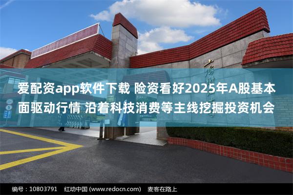 爱配资app软件下载 险资看好2025年A股基本面驱动行情 沿着科技消费等主线挖掘投资机会