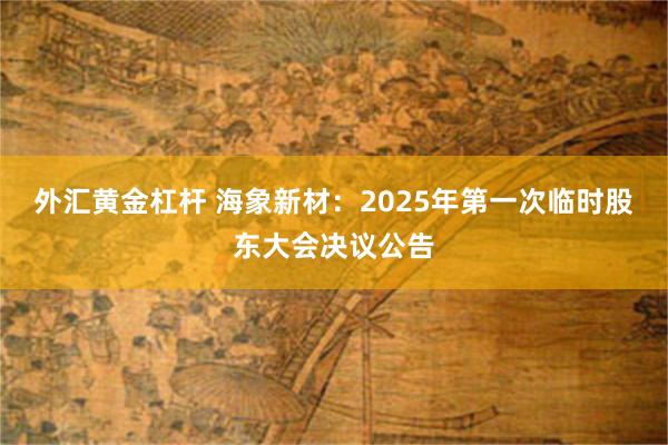 外汇黄金杠杆 海象新材：2025年第一次临时股东大会决议公告