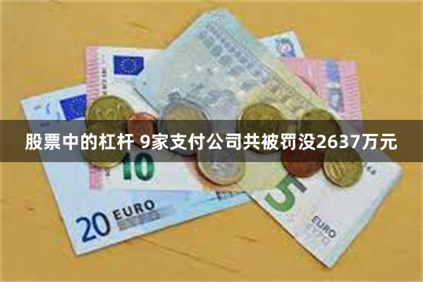 股票中的杠杆 9家支付公司共被罚没2637万元