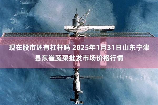 现在股市还有杠杆吗 2025年1月31日山东宁津县东崔蔬菜批发市场价格行情