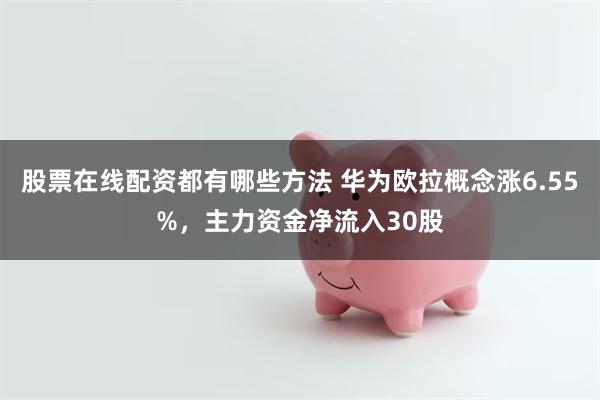 股票在线配资都有哪些方法 华为欧拉概念涨6.55%，主力资金净流入30股