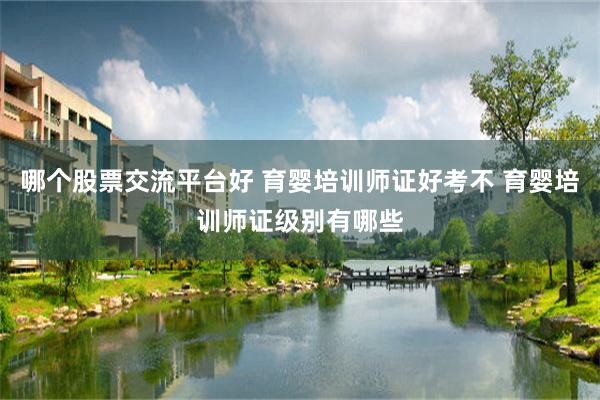 哪个股票交流平台好 育婴培训师证好考不 育婴培训师证级别有哪些