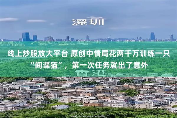 线上炒股放大平台 原创中情局花两千万训练一只“间谍猫”，第一次任务就出了意外