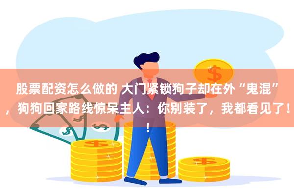 股票配资怎么做的 大门紧锁狗子却在外“鬼混”，狗狗回家路线惊呆主人：你别装了，我都看见了！