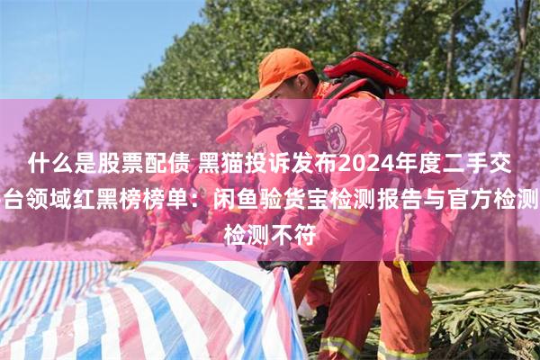 什么是股票配债 黑猫投诉发布2024年度二手交易平台领域红黑榜榜单：闲鱼验货宝检测报告与官方检测不符
