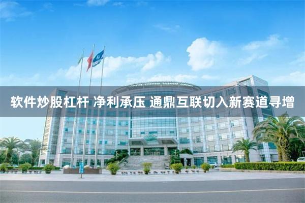 软件炒股杠杆 净利承压 通鼎互联切入新赛道寻增