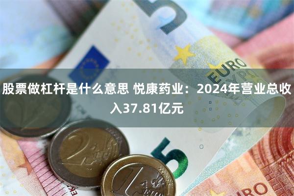 股票做杠杆是什么意思 悦康药业：2024年营业总收入37.81亿元