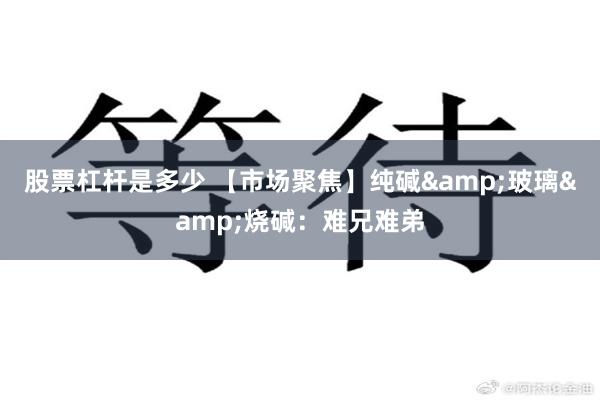 股票杠杆是多少 【市场聚焦】纯碱&玻璃&烧碱：难兄难弟