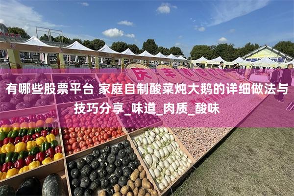 有哪些股票平台 家庭自制酸菜炖大鹅的详细做法与技巧分享_味道_肉质_酸味
