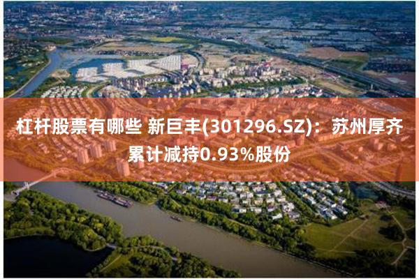 杠杆股票有哪些 新巨丰(301296.SZ)：苏州厚齐累计减持0.93%股份