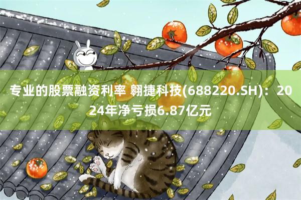 专业的股票融资利率 翱捷科技(688220.SH)：2024年净亏损6.87亿元