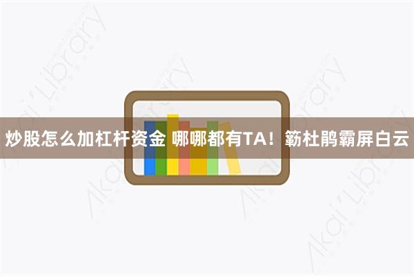 炒股怎么加杠杆资金 哪哪都有TA！簕杜鹃霸屏白云