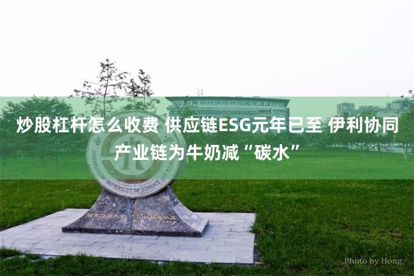 炒股杠杆怎么收费 供应链ESG元年已至 伊利协同产业链为牛奶减“碳水”