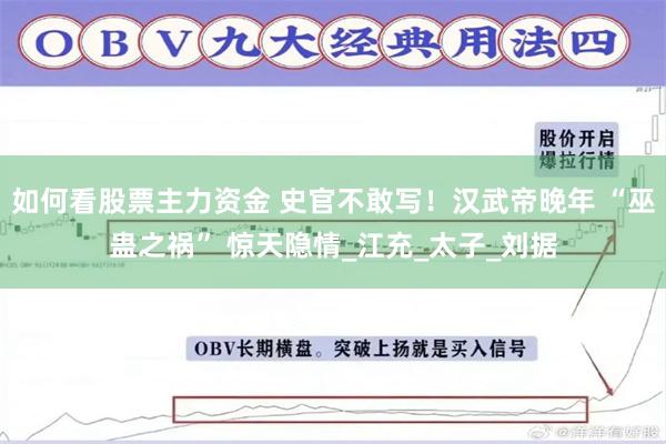 如何看股票主力资金 史官不敢写！汉武帝晚年 “巫蛊之祸” 惊天隐情_江充_太子_刘据