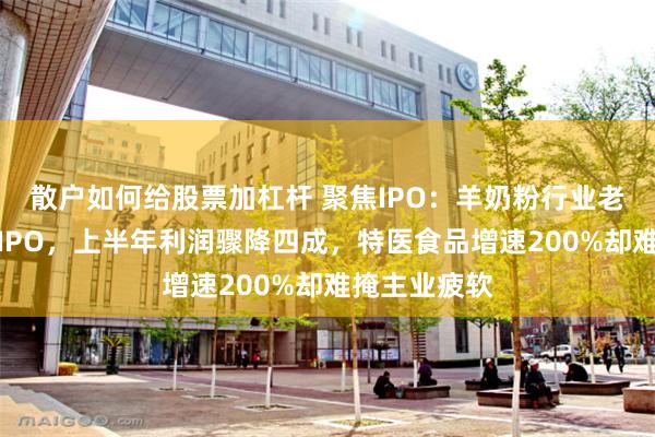 散户如何给股票加杠杆 聚焦IPO：羊奶粉行业老二宜品赴港IPO，上半年利润骤降四成，特医食品增速200%却难掩主业疲软