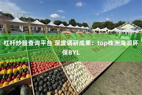 杠杆炒股查询平台 深度调研成果：top株洲海润环保BYL