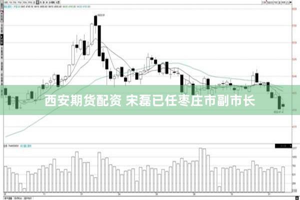 西安期货配资 宋磊已任枣庄市副市长